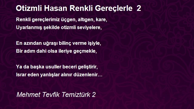 Mehmet Tevfik Temiztürk 2