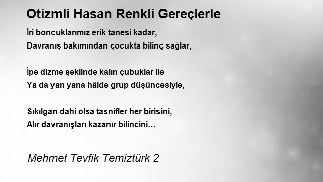 Mehmet Tevfik Temiztürk 2