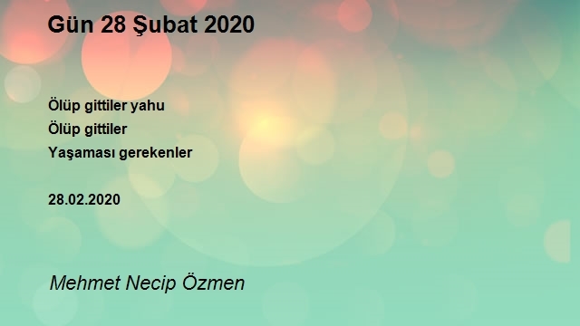 Mehmet Necip Özmen