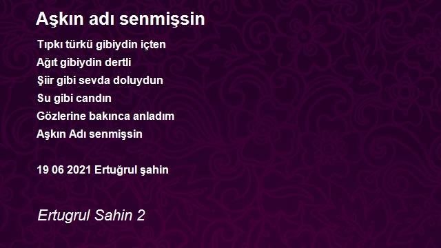 Ertugrul Sahin 2