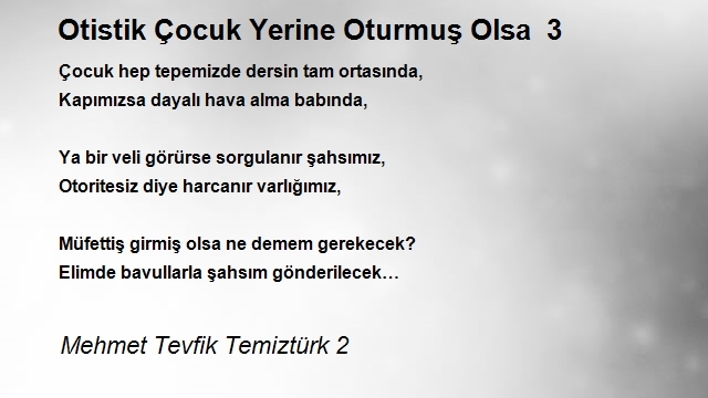 Mehmet Tevfik Temiztürk 2