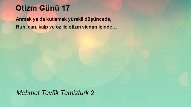 Mehmet Tevfik Temiztürk 2