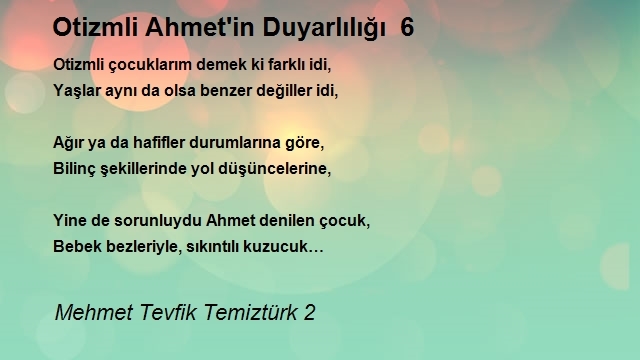 Mehmet Tevfik Temiztürk 2