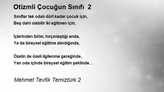 Mehmet Tevfik Temiztürk 2