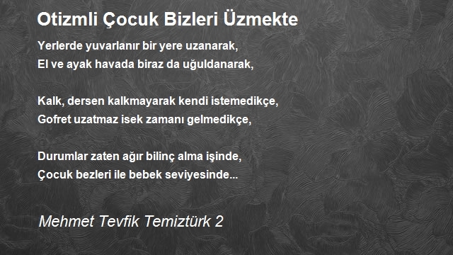 Mehmet Tevfik Temiztürk 2