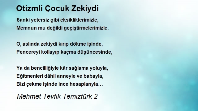 Mehmet Tevfik Temiztürk 2