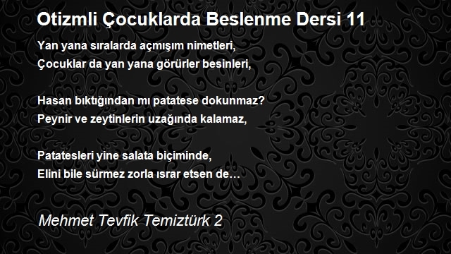 Mehmet Tevfik Temiztürk 2