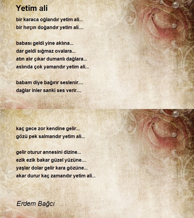 Erdem Bağcı