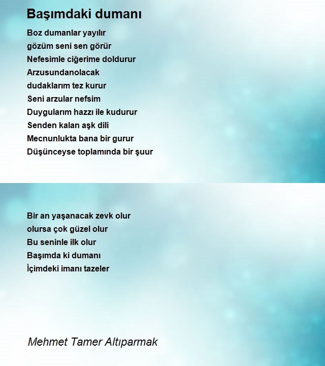 Mehmet Tamer Altıparmak