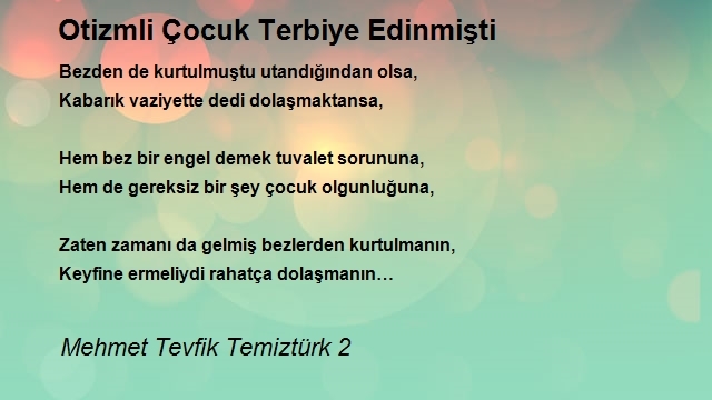 Mehmet Tevfik Temiztürk 2