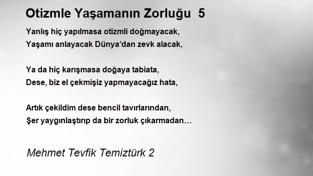 Mehmet Tevfik Temiztürk 2