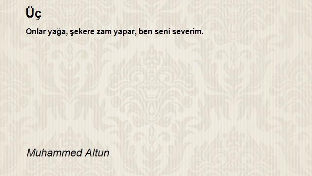 Muhammed Altun