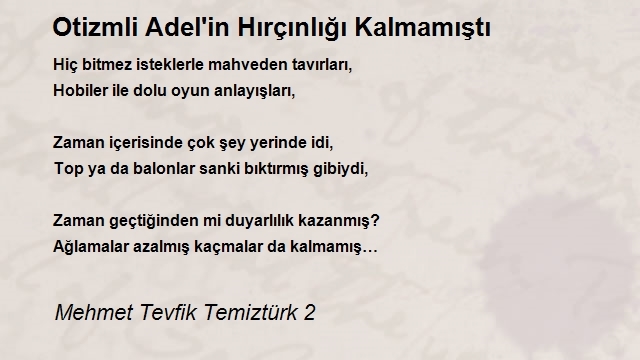 Mehmet Tevfik Temiztürk 2