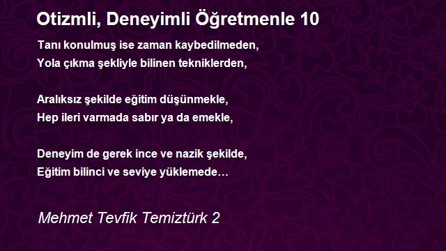 Mehmet Tevfik Temiztürk 2