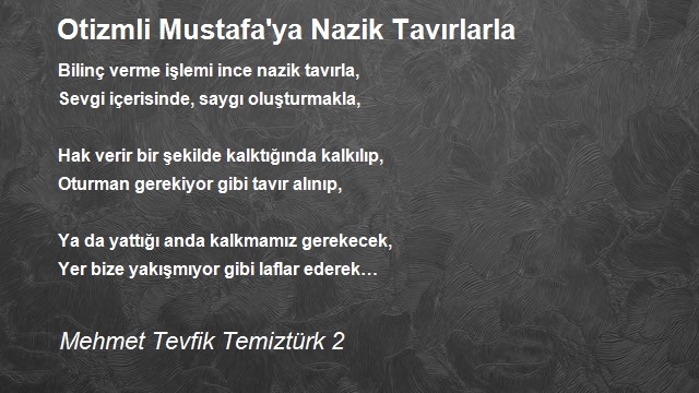 Mehmet Tevfik Temiztürk 2