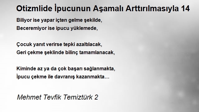 Mehmet Tevfik Temiztürk 2