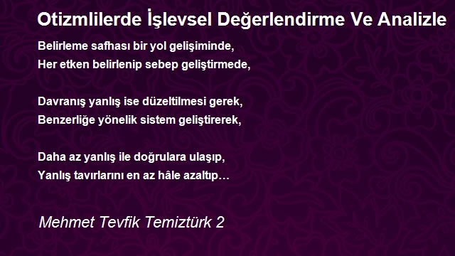 Mehmet Tevfik Temiztürk 2