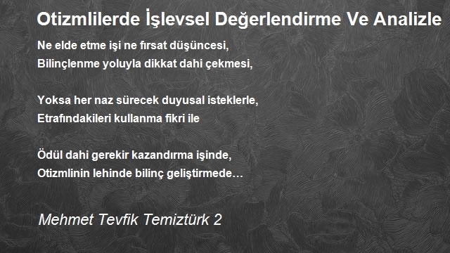 Mehmet Tevfik Temiztürk 2