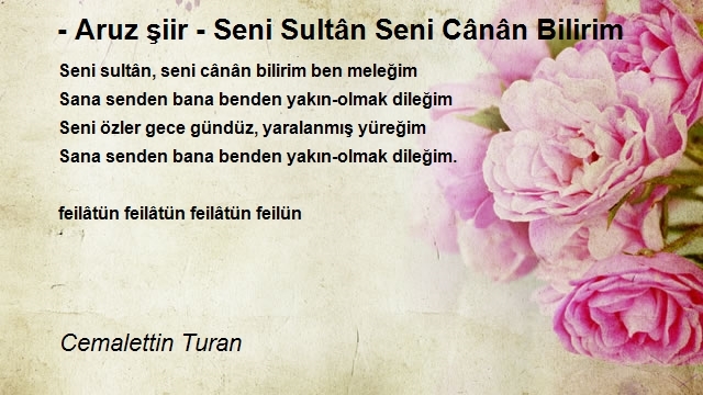 Cemalettin Turan