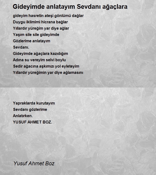 Yusuf Ahmet Boz