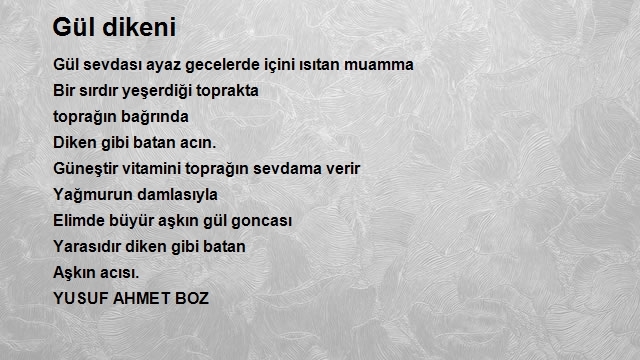 Yusuf Ahmet Boz