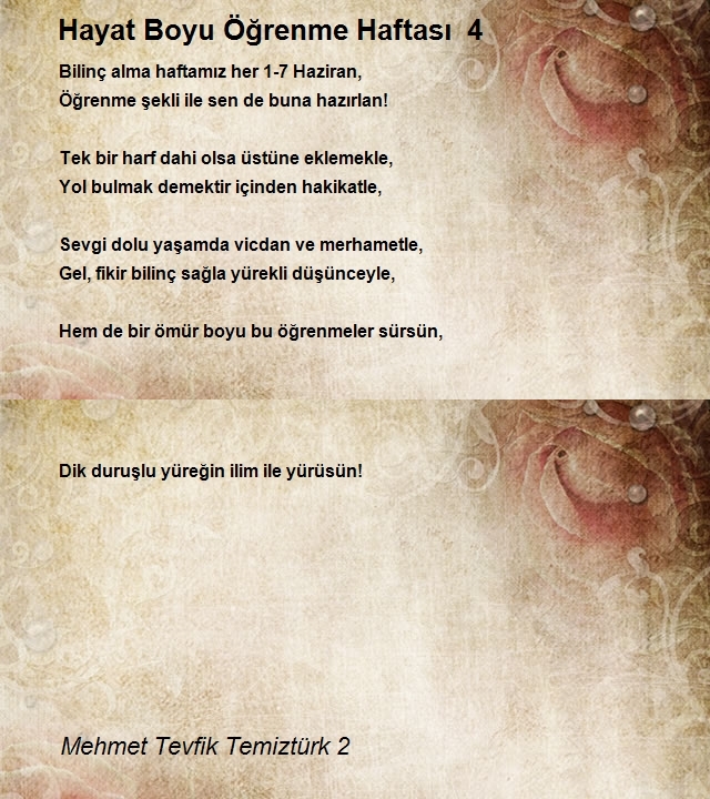 Mehmet Tevfik Temiztürk 2