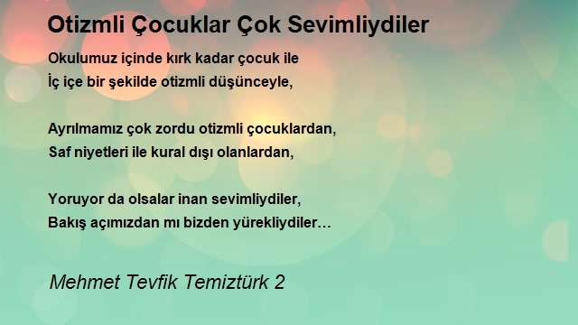 Mehmet Tevfik Temiztürk 2