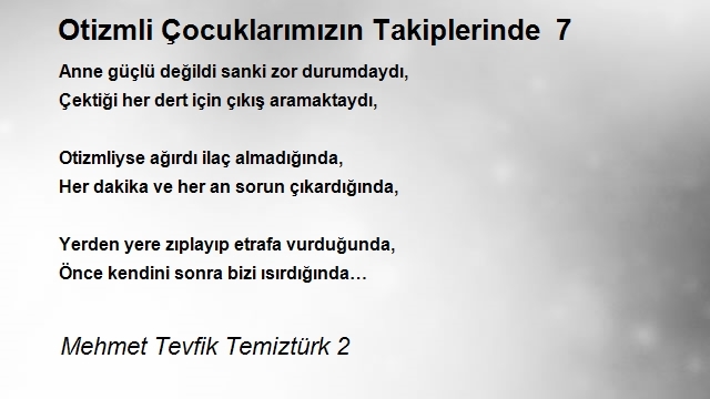 Mehmet Tevfik Temiztürk 2