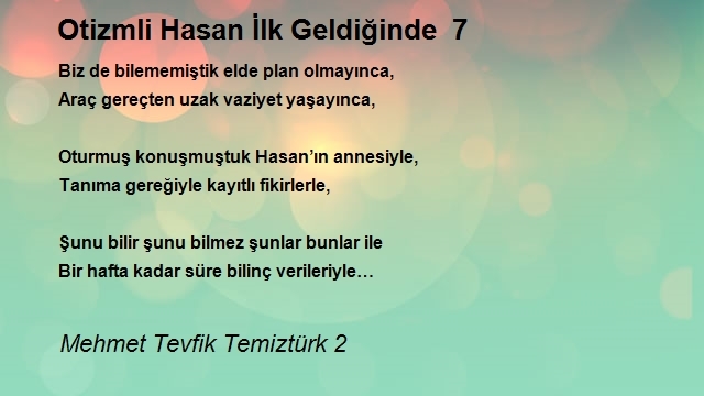 Mehmet Tevfik Temiztürk 2