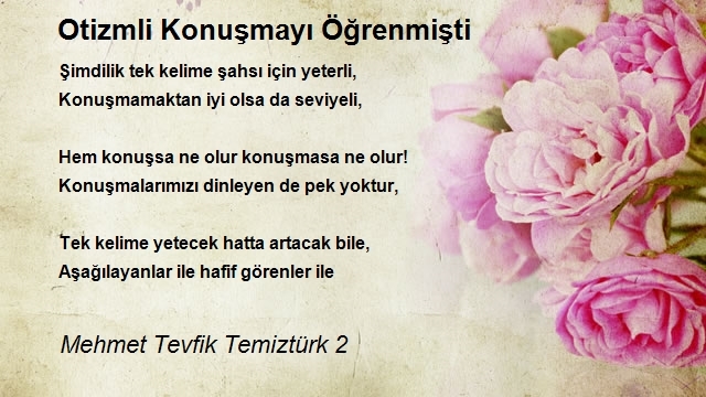 Mehmet Tevfik Temiztürk 2