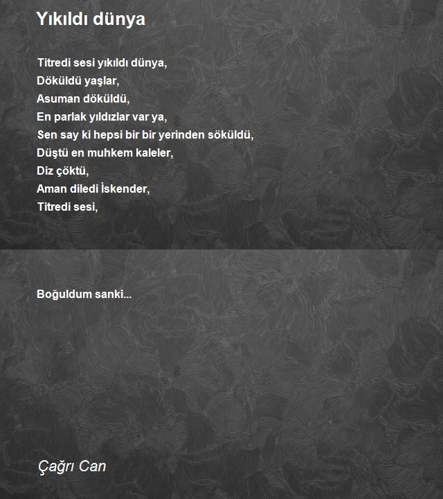 Çağrı Can