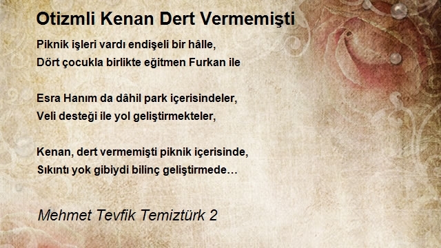 Mehmet Tevfik Temiztürk 2