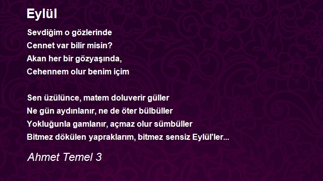 Ahmet Temel 3