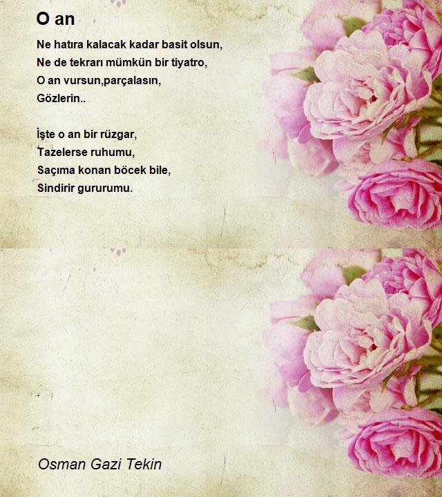 Osman Gazi Tekin