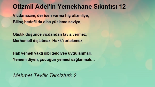 Mehmet Tevfik Temiztürk 2