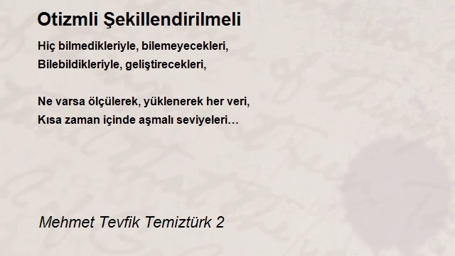 Mehmet Tevfik Temiztürk 2