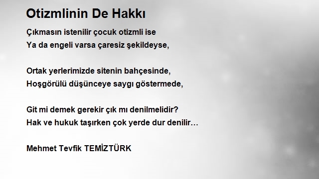 Mehmet Tevfik Temiztürk 2