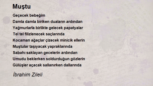 İbrahim Zileli