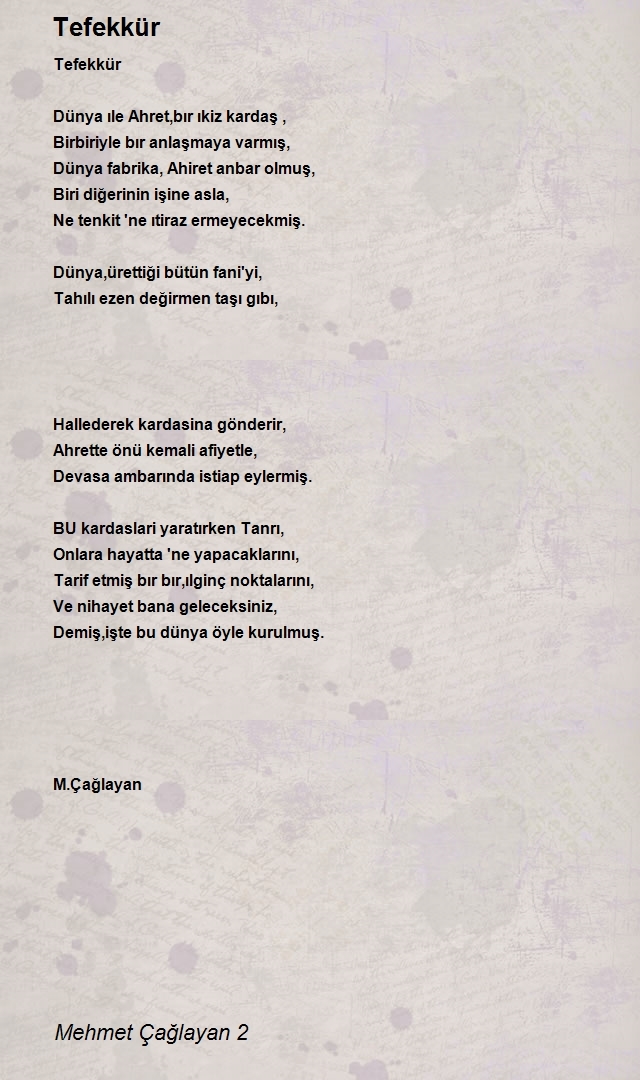 Mehmet Çağlayan 2