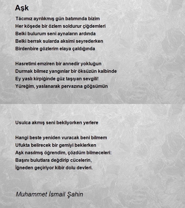 Muhammet İsmail Şahin