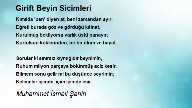 Muhammet İsmail Şahin