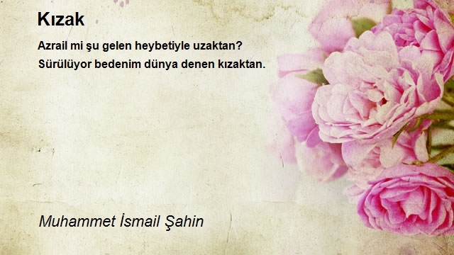 Muhammet İsmail Şahin