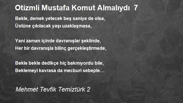 Mehmet Tevfik Temiztürk 2