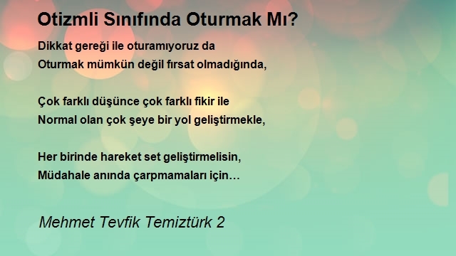 Mehmet Tevfik Temiztürk 2