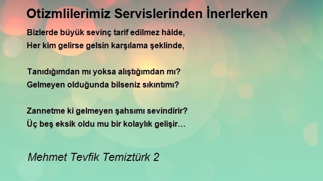 Mehmet Tevfik Temiztürk 2