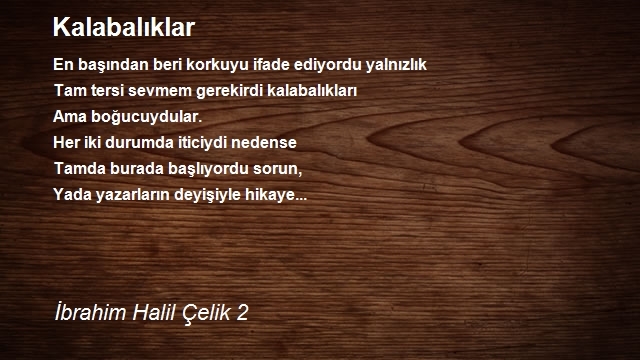 İbrahim Halil Çelik 2