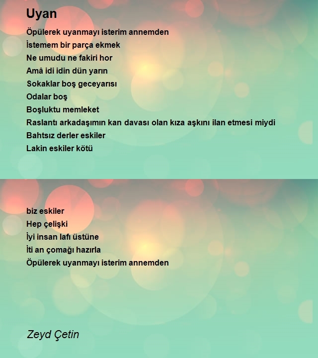 Zeyd Çetin