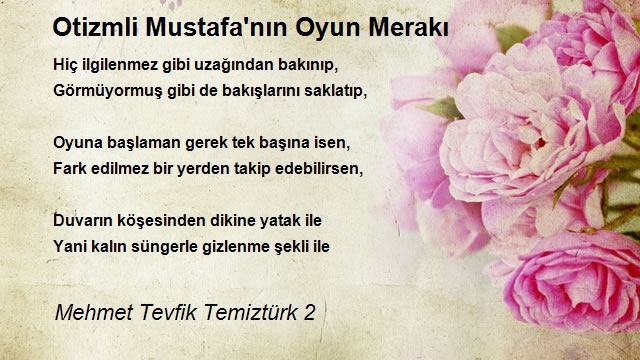 Mehmet Tevfik Temiztürk 2