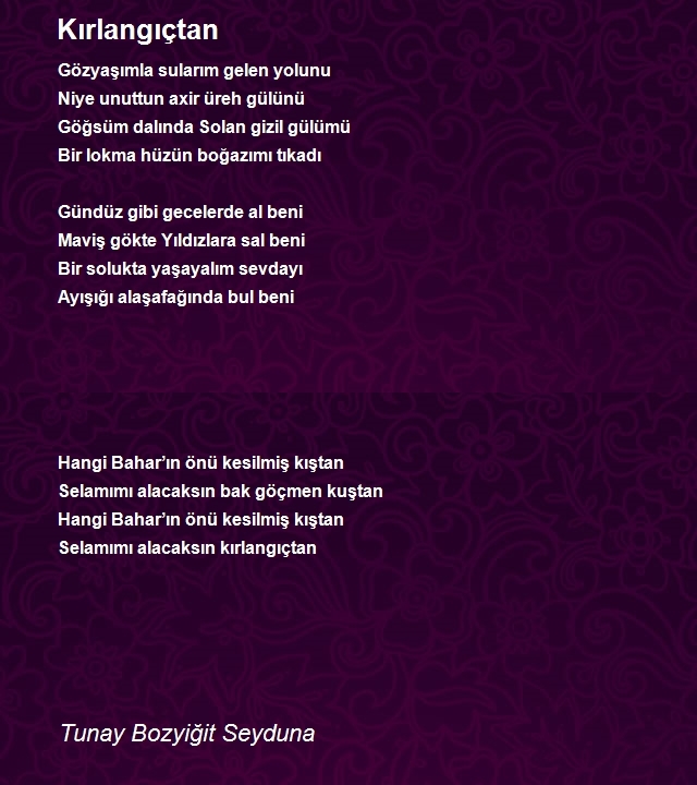 Tunay Bozyiğit Seyduna