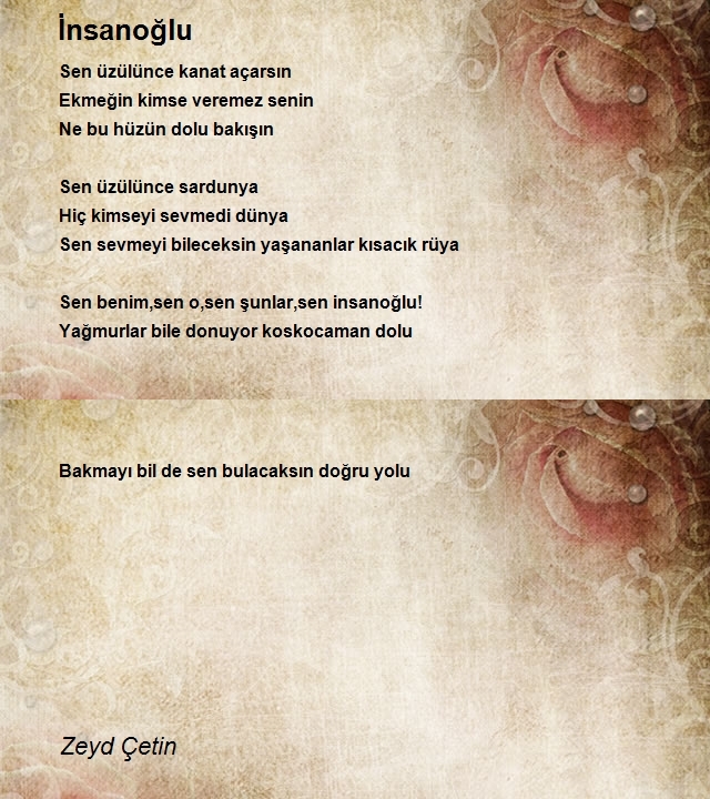 Zeyd Çetin